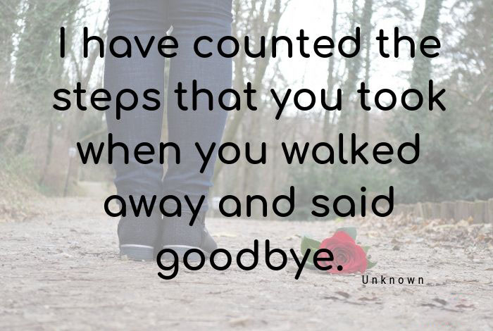 I have counted the steps that you took when you walked away and said goodbye
