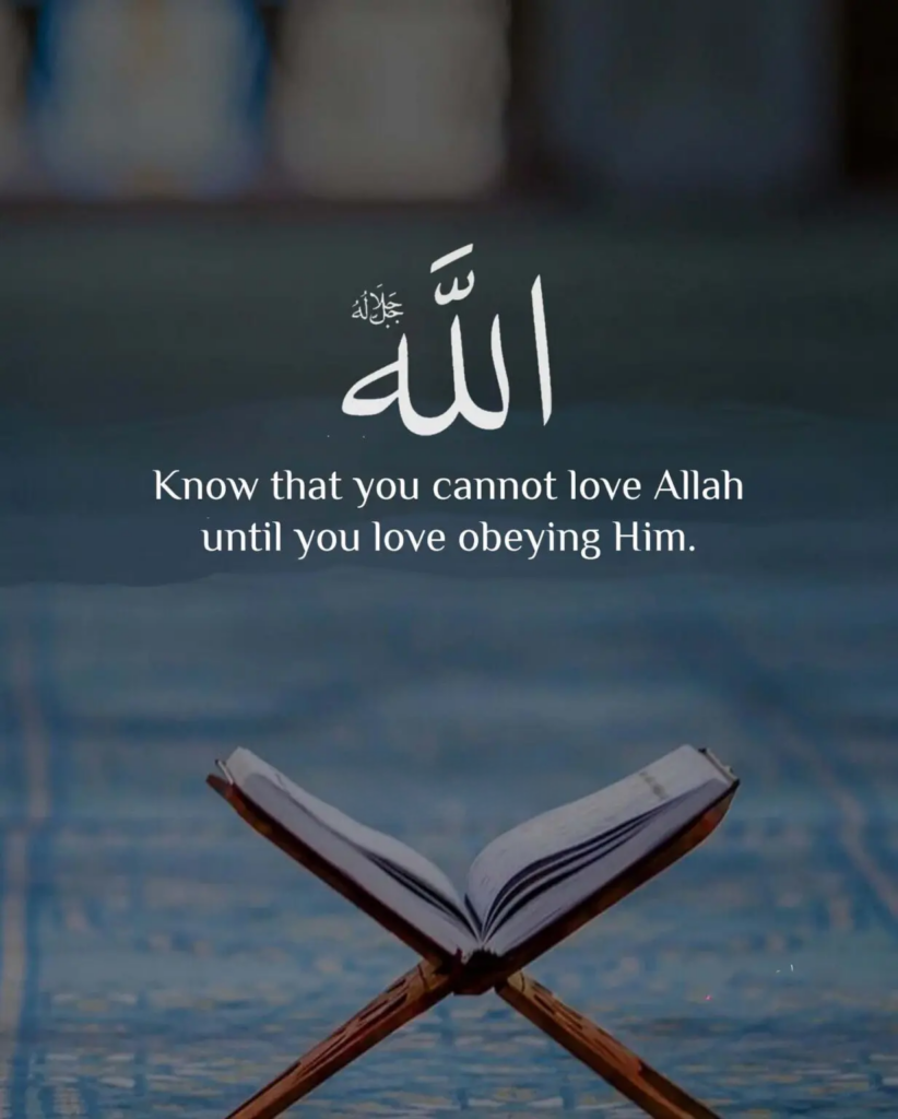 Know that you cannot love Allah until you love obeying Him