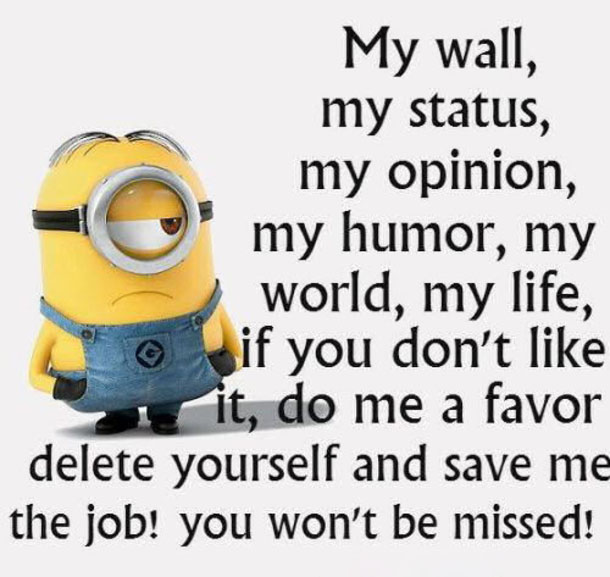 My wall my status my opinion my humor my world my life
