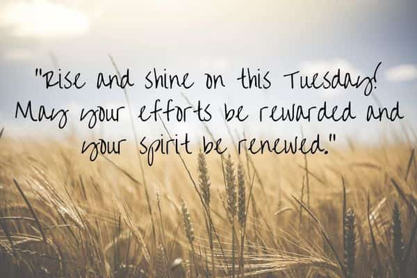 Rise and shine on this Tuesday May your efforts be rewarded and your spirit be renewed