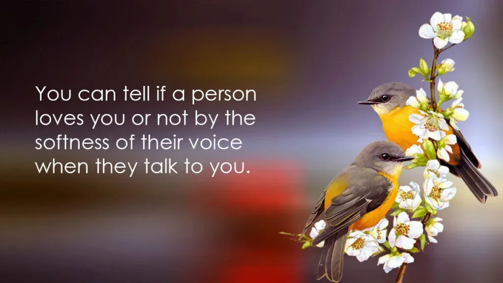 You can tell if a person loves you or not by the softness of their voice when they talk to you