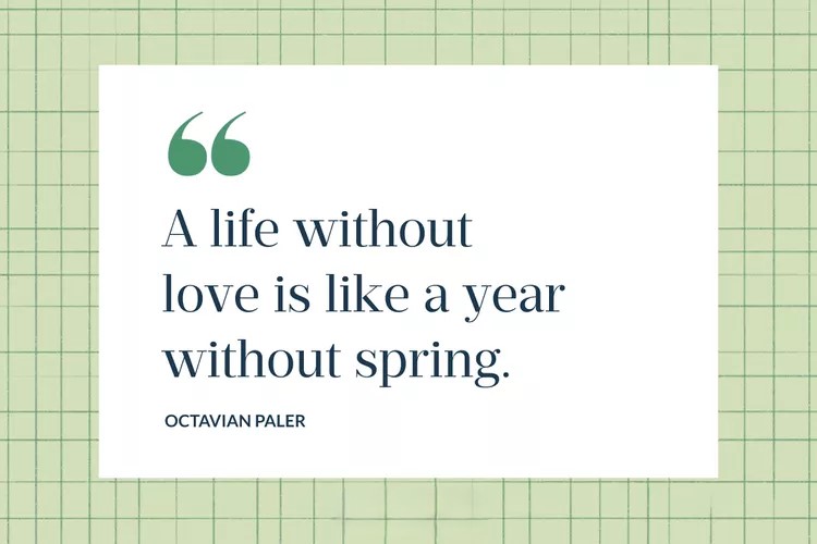 A life without love is like a year without spring