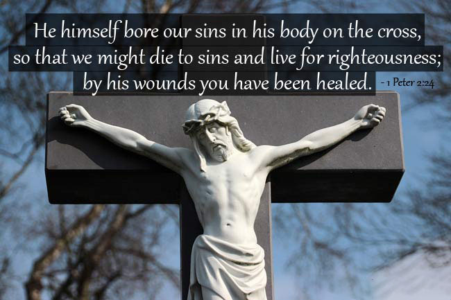 He himself bore our sins in his body on the cross so that we might die to sins and live for righteousness by his wounds you have been healed. 1 Peter 2 24