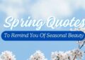 65 Spring Quotes To Remind You Of Seasonal Beauty