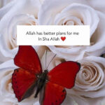 Allah has better plans for me. in shah Allah