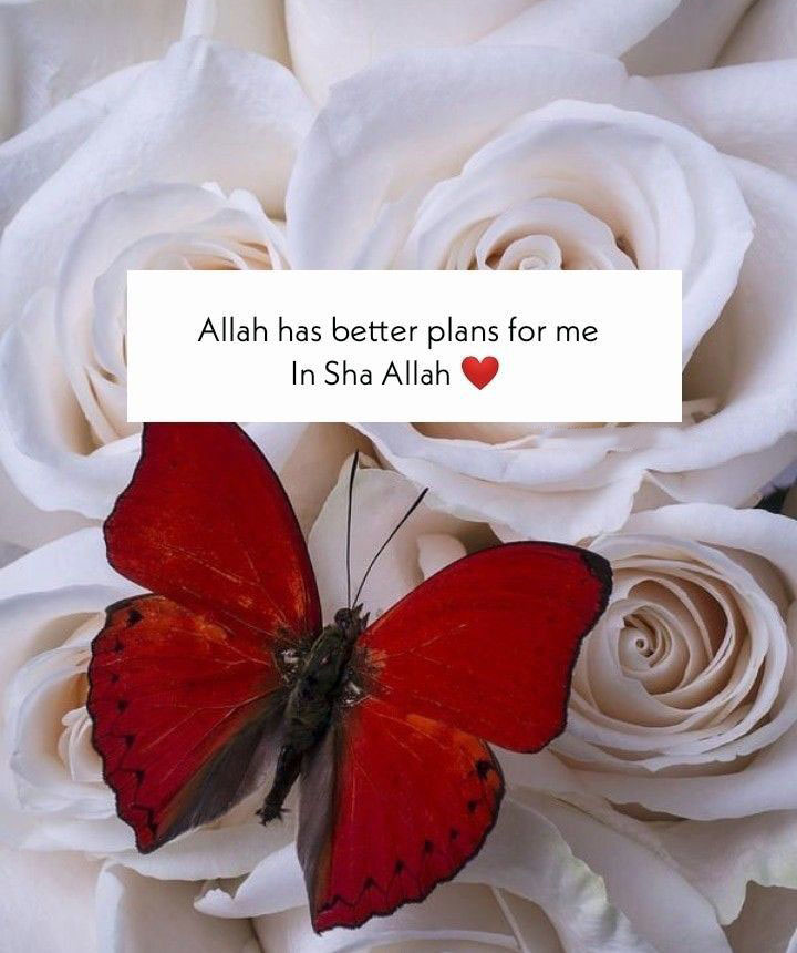 Allah has better plans for me. in shah Allah