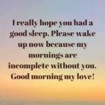 I really hope you had a good sleep. Please wake up nowbecause my mornings are incomplete without you. Good morning my love image I really hope you had a good sleep. Please wake up nowbecause my mornings are incomplete without you. Good morning my love image
