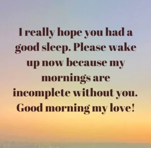 I really hope you had a good sleep. Please wake up nowbecause my mornings are incomplete without you. Good morning my love image I really hope you had a good sleep. Please wake up nowbecause my mornings are incomplete without you. Good morning my love image
