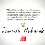 May Allah bless you with immense happiness an endless amount of success perfectl health and everything you have ever made dua for if its. beneficial to you and if it pleases Allah
