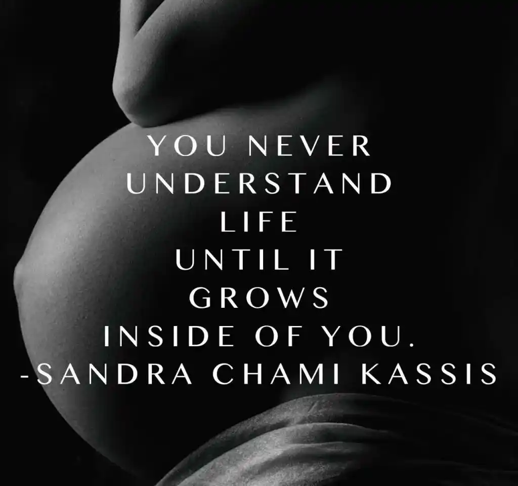 you never understand life until it grows inside of you @sandra chami kassis