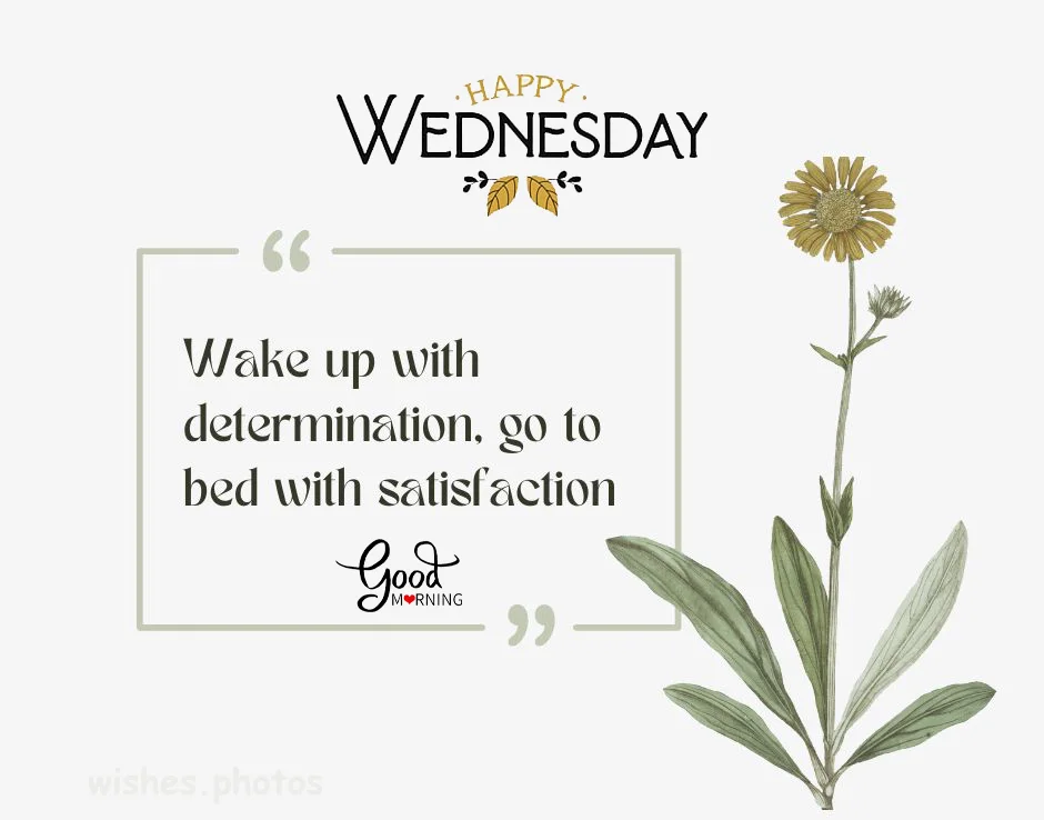 Wake up with determination go to bed with satisfaction happy Wednesday