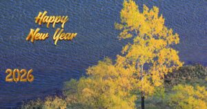 New Year 2026 Wishes Stunning Autumn Landscape with Bright Yellow Trees and Calm Blue Water New Year 2026 Wishes Stunning Autumn Landscape with Bright Yellow Trees and Calm Blue Water