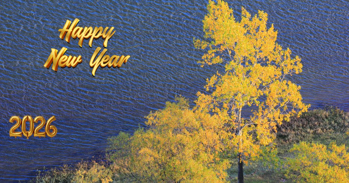 New Year 2026 Wishes Stunning Autumn Landscape with Bright Yellow Trees and Calm Blue Water New Year 2026 Wishes Stunning Autumn Landscape with Bright Yellow Trees and Calm Blue Water