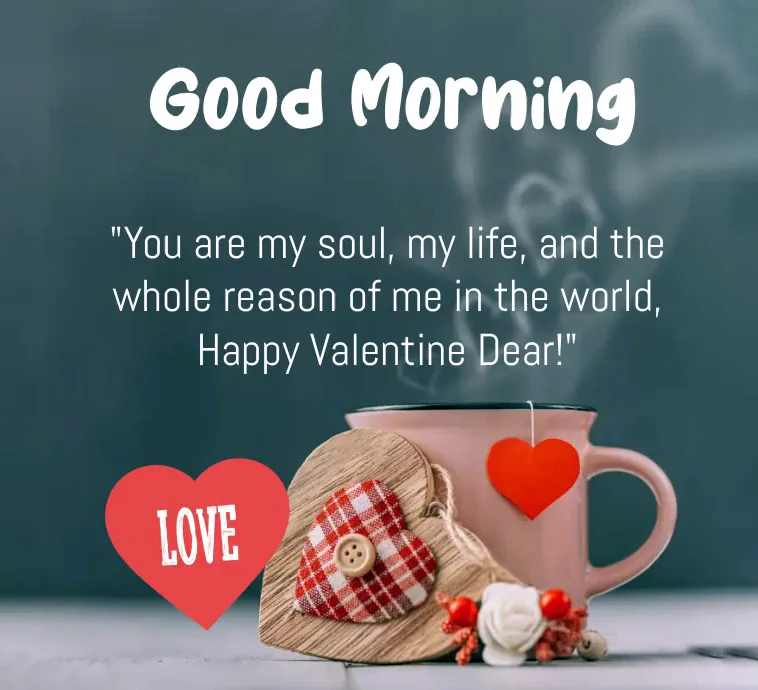 good morning valentine = you are my soul, my life and the whole reason of me in the world, happy valentine dear