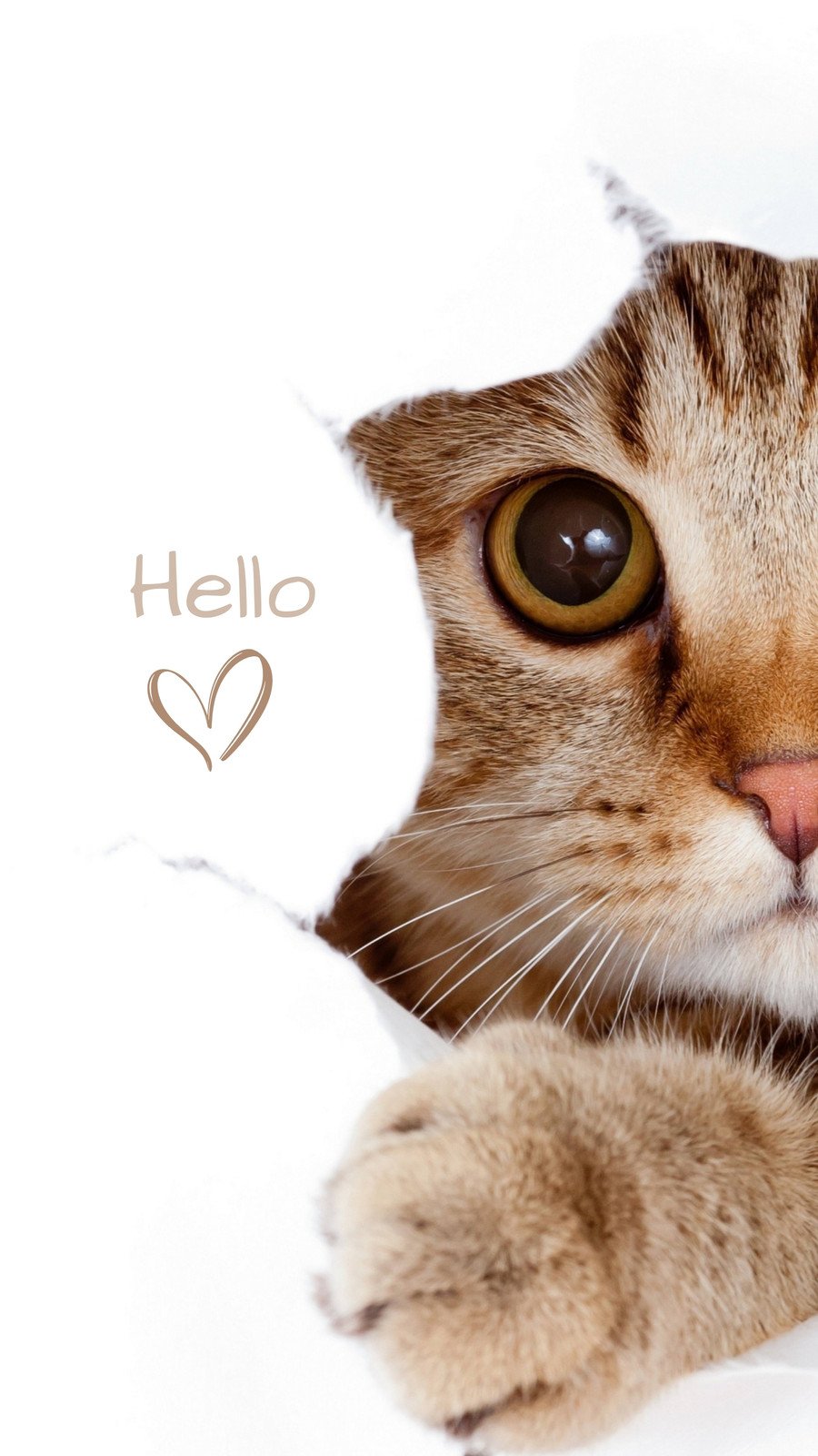 An adorable illustrated cat pattern, adding a playful touch to your device.