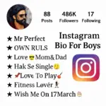 Instagram Bio for Boys